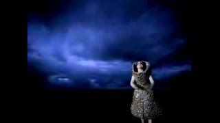 Björk - Who Is It