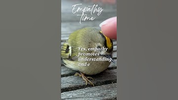 Empathy: Resolving Conflicts #shorts #empathyfacts #subscribe