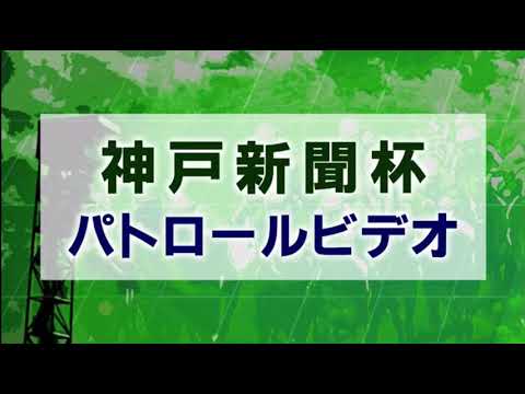 神戸新聞杯 2020 パトロールビデオ 【コントレイル】