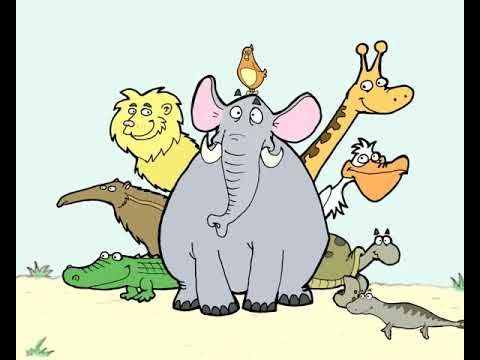 EVOLUCE - YouTube