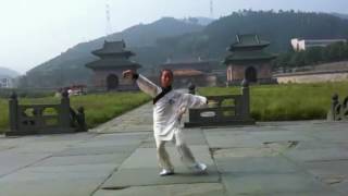 Wudang Ji Ben Quan   Performance