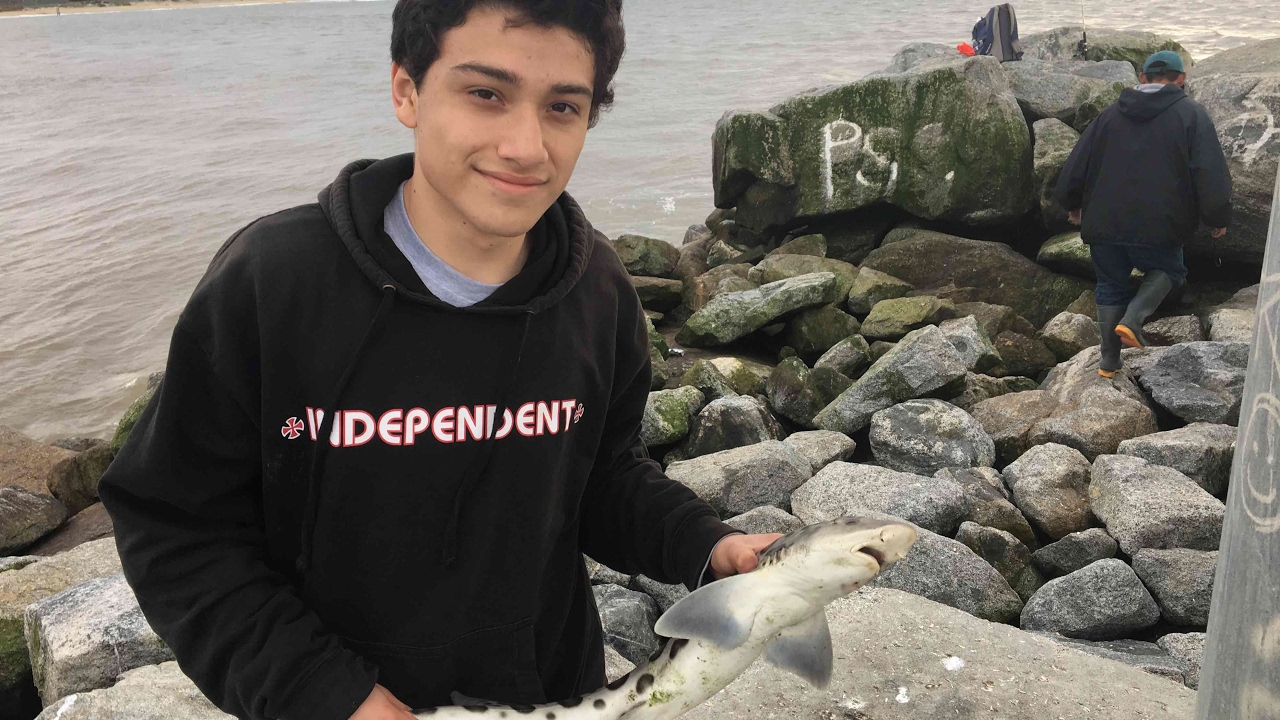 Jetty fishing for sharks Moss Landing CA YouTube