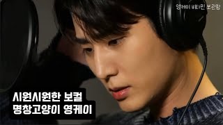 Say Yes 가이드 + 녹음실 버전 / 영케이 노래 라이브 실력 / 놀면뭐하니 원탑