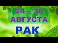 ♋ РАК. 🍎 С 24 по 30 АВГУСТА 2020 г. 🌿 Таро прогноз