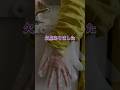 バズ手袋にまさかの欠点が...#ダイソー #DAISO #手袋 #使い捨て手袋 #便利グッズ #家事ラク #子育てママ #子どものいる