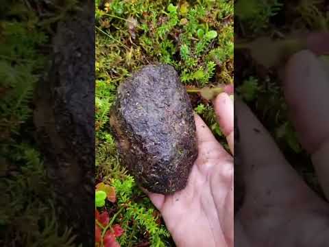 This how a meteorite looks from the inside