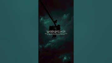 تلاوة خاشعة الشيخ ياسر الدوسري