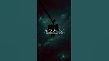 تلاوة خاشعة الشيخ ياسر الدوسري