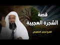 قصة الشجرة العجيبة قصة اكثر من رائعة ستتمنى ان لاتنتهى الشيخ محمد الشنقيطي