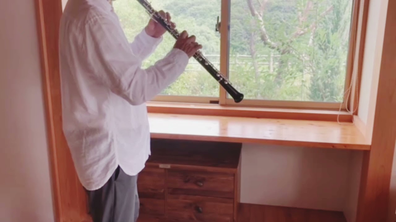 メルカリ用動画　Oboe Marigaux M2