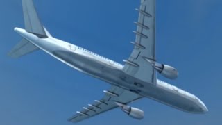 Iran Air Flight 655 - Crash Animation