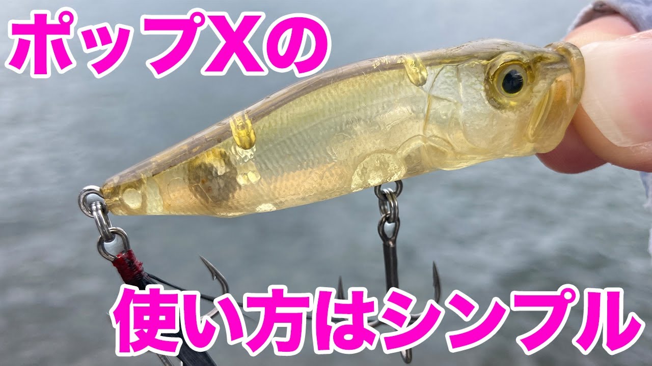 【釣れる】メガバスポップXの使い方とヒットシーン【トップウォーターバス釣り】