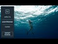 How to Export Photos in Lightroom Classic