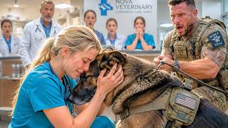 “Don't Go Near Him” The Retired SEAL Smirked—Until His Military K9 Sat Beside The Nurse