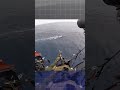 Coast Guard Gun Crew STOPS Speed Boat #shorts  #military