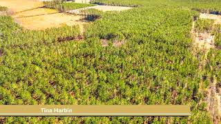 Lots And Land for sale - TBD Williams Hill Rd., Hemingway, SC 29554