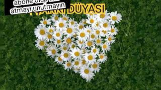 Bahadir Sağlam - Kir Papatyasi