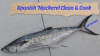 Spanish Mackerel Clean & Cook by 305 Florida Boy 243 views 3 months ago 16 minutes