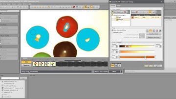 RR Floody Video walk through on using color vision tools