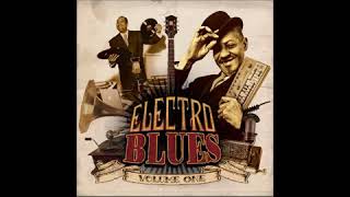 Video thumbnail of "John Mayall - The Laws Must Change  (The Empire Fantastic Remix) - Electro Blues Volume One"