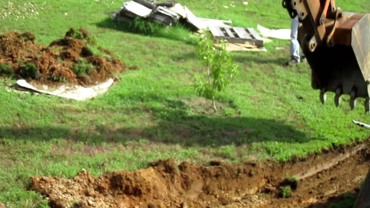 Root Cellar - Part 1