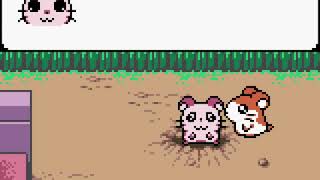 [TAS] GBC Hamtaro: Ham-Hams Unite! by illayaya in 43:02.27