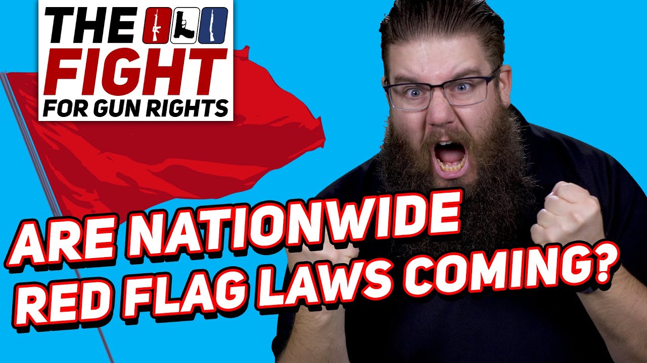 Red Flag Law Abuse _ What Are ‘Red Flag’ Gun Laws, and How Do They Work ...