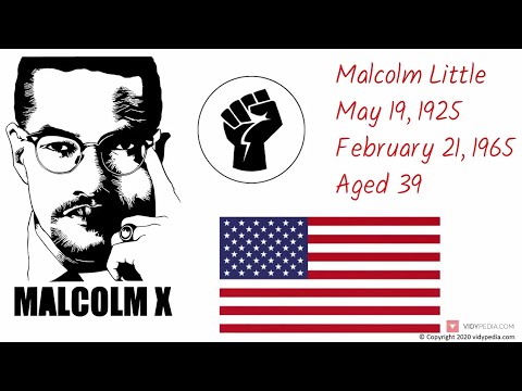 Malcolm X 전기 3분 - 미니 바이오 - 미니 역사 - 인형을 위한 3분 역사