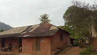 Download Lagu Destruction of the forest in Asuben Bojie, Boki MP3