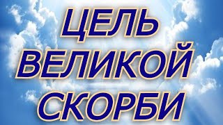 Цель Великой Скорби  Андрей Чумакин (07). Разбор книги &quot;Откровение&quot;. Последнее время.