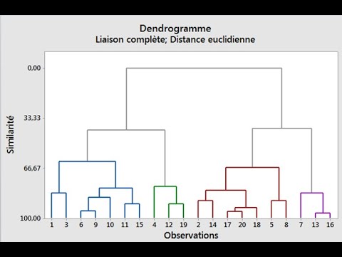 Vidéo: Comment mettre la dissimilitude dans une phrase ?