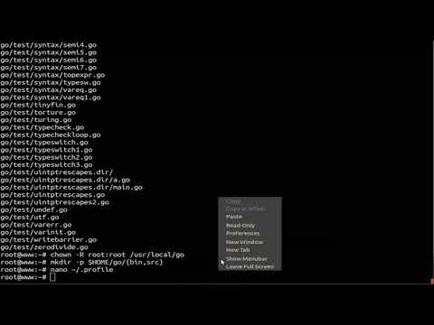 How To setup Go Web Application Using Nginx on Ubuntu 18.04