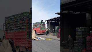 Manavda 100 Lira Olan Ürünün Tarladan Sonra Kaç Para Olduğunu Biliyor Musunuz?