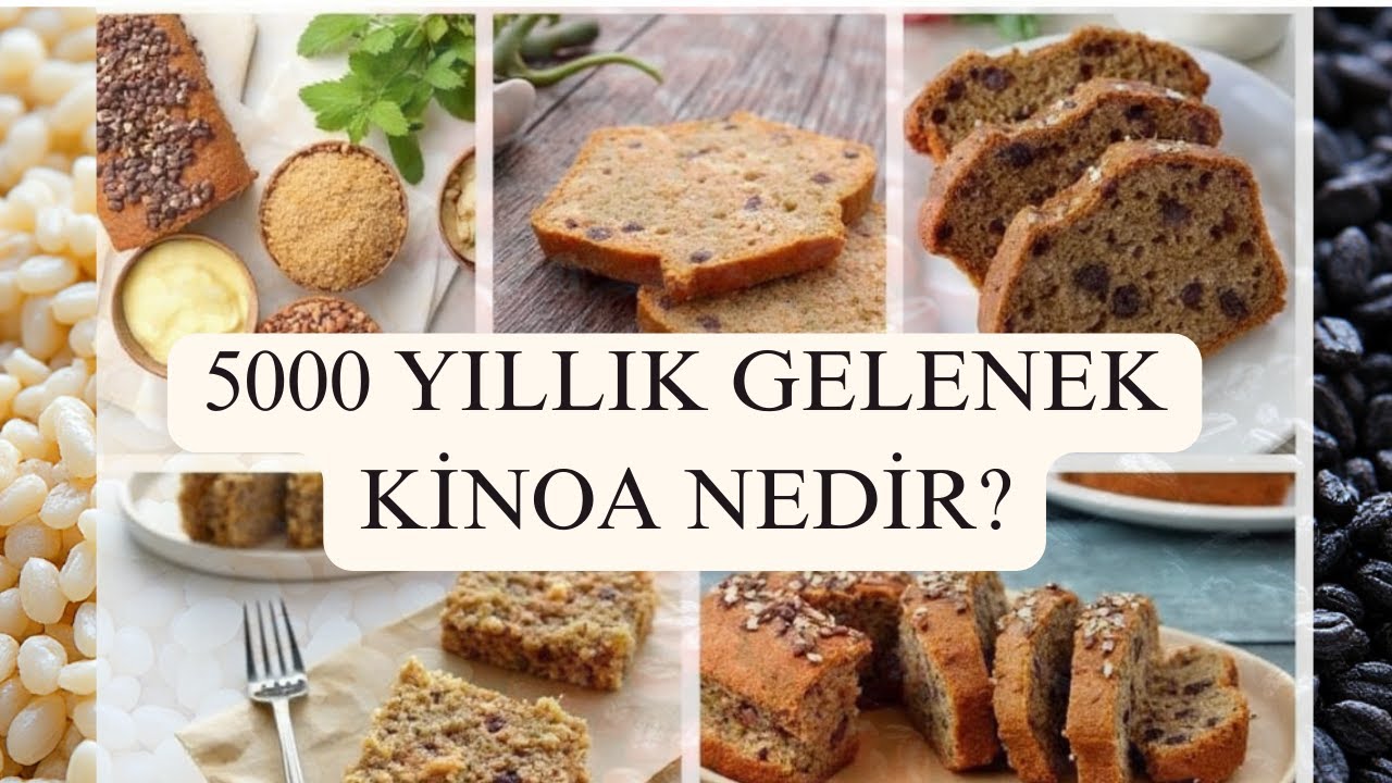 Kinoa Nedir? Faydaları ve Tarifleri ile Kinoa Rehberi