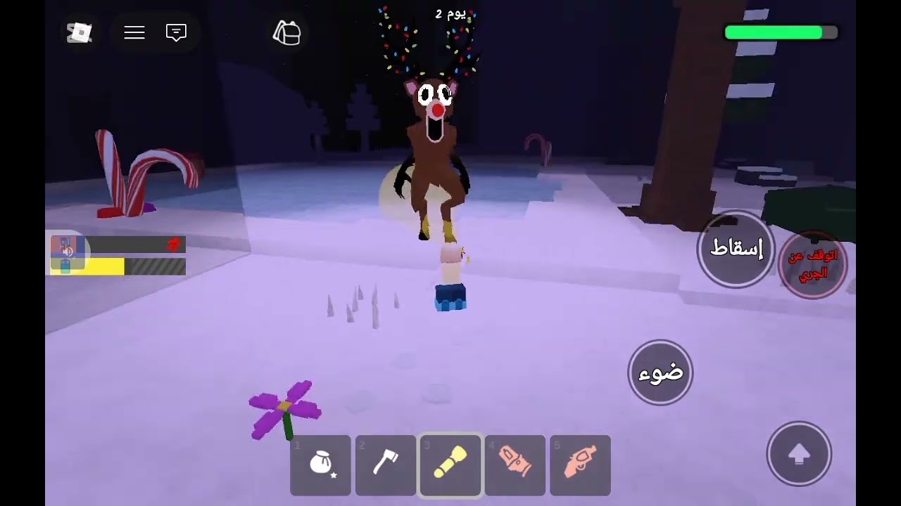 ١٢ كانون الثاني ٢٠٢٦