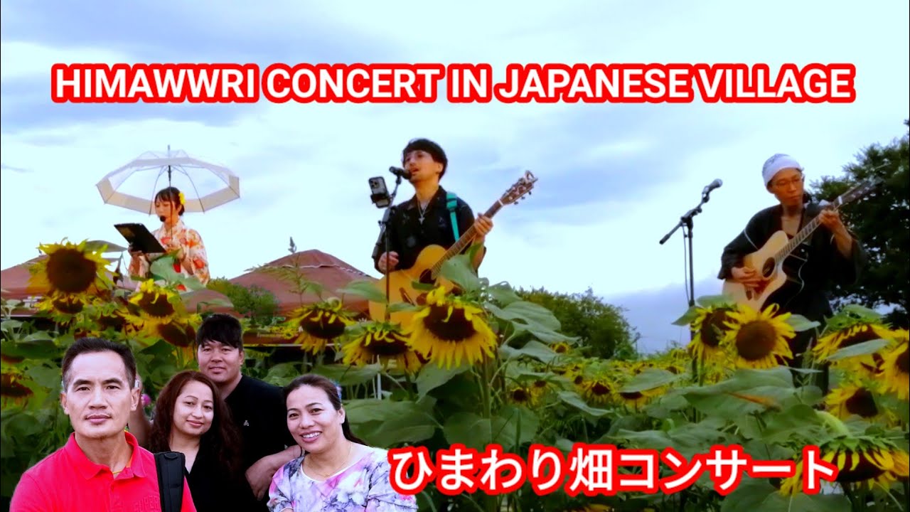 Sunflower farm Concert 🌻 Tokorozawa Saitama village 