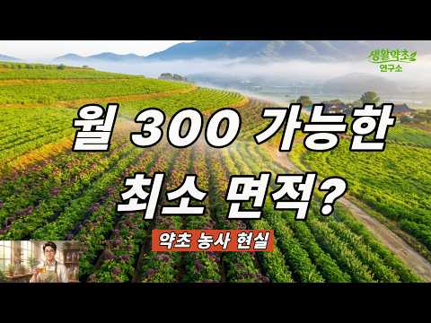 약초 농사로 월 300 벌려면 땅이 얼마나 필요한가요? 최소 면적 공개