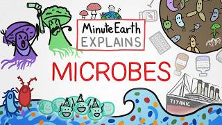 minuteearth explains microbes