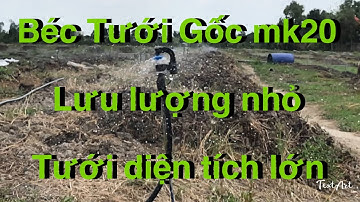 Hệ thống tưới hơn 1000 béc mk20, tưới gốc cho cây mới trồng,rất hiệu quả cho cây