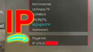 Paradox CE: A Non-Host mod menu with IP grabber and unfair aimbot!? (MW2 CFW)