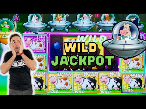 😂 April Fools GONE WRONG! 🐮 Moolah Jackpot HIGH LIMIT! 👾