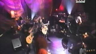 EL TRI perro negro y callejero