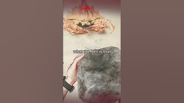 Stranded deep is actually a pretty good game 🤣 #strandeddeep #survivalgame #videogames #twitch