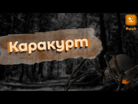 Тайны укуса каракурта: Опасный паук и его обитание