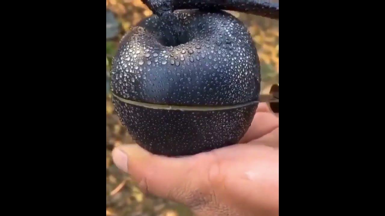 Как выглядит черное яблоко