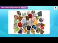 Mineral Resources of India | Marvel Semester Series Social Studies Grade 4 | Periwinkle