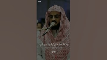 رعد الكردى|| واصبر نفسك مع الذين يدعون ربهم 🤍🌿 سورة الكهف