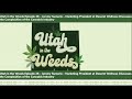 Marketing President Discusses the Complexities of Cannabis | Utah in the Weeds Episode #26