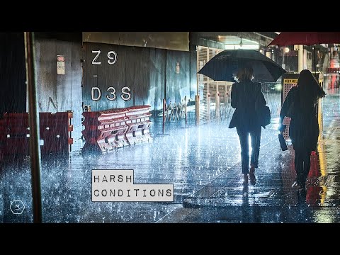 Nikon Z9 / D3s Tough Conditions | Real World | LET IT RAIN ☔️ | Matt Irwin