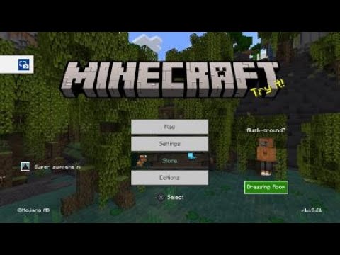 Minecraft server - YouTube